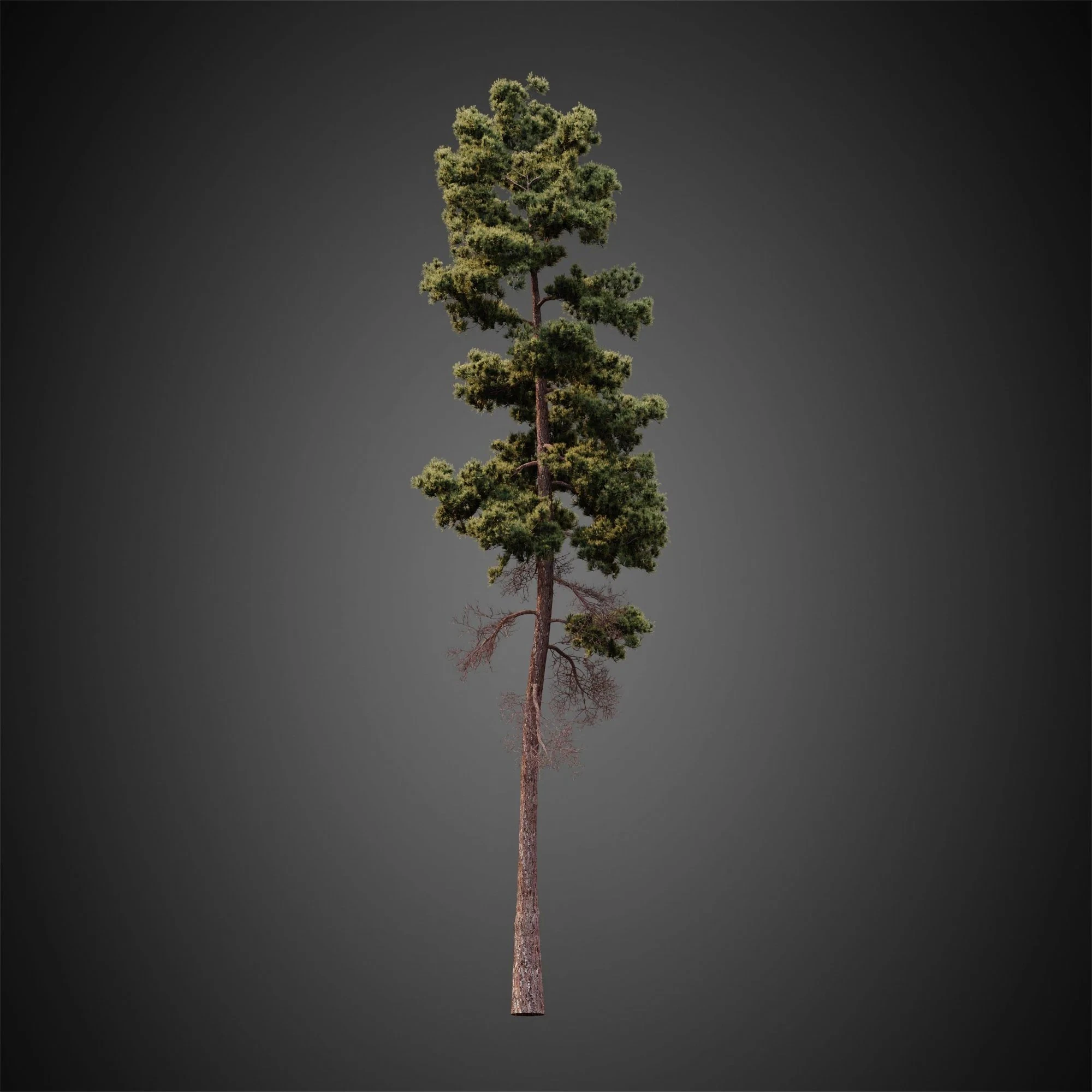 001 — Descargar