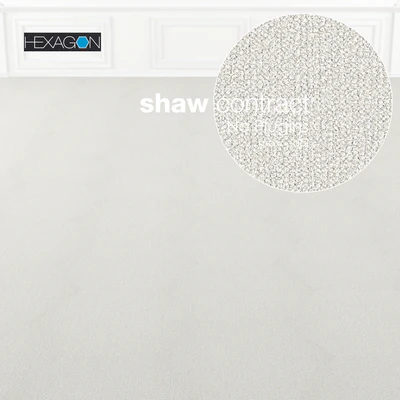 Shaw Carpet Hexagon Plane No: 2 — Ver 1