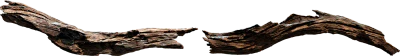 broken tree log 001 — Descargar