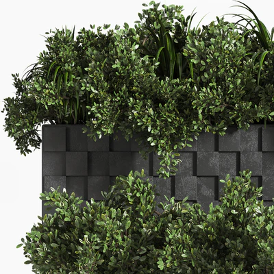 outdoor plant collection Box — Ver 3