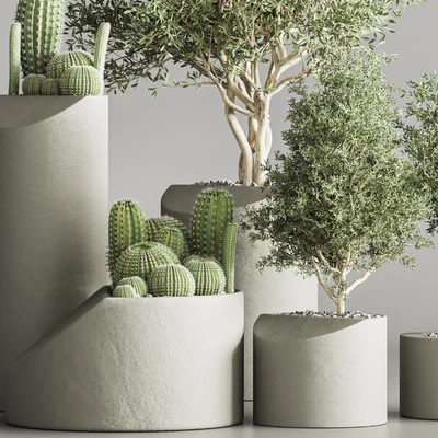 cactus & plant vol 04 — Вид 4