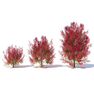 Great Balls of Fire — Ver 3