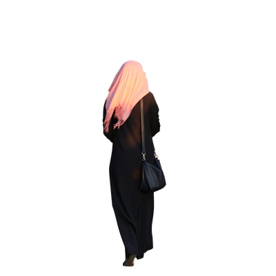 3240 — Descargar