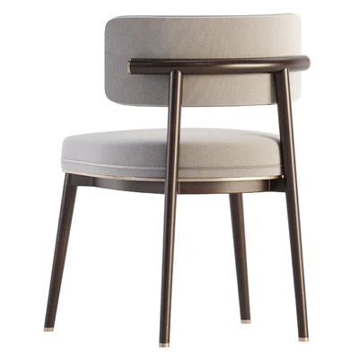 Frank dining chair by ASTER — Ver 5