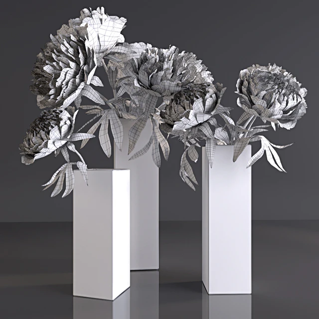 Peonies — Descargar