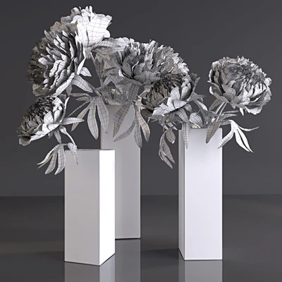 Peonies — Ver 3