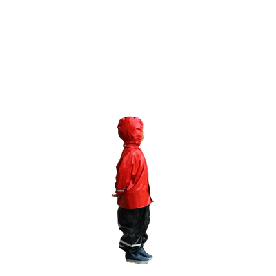 2055 — Descargar