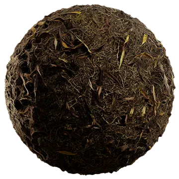 dried leaves 024 — Скачать