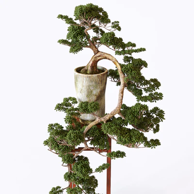 Bonsai — Ver 1