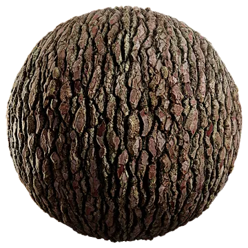 maritime pine bark 001 — Скачать