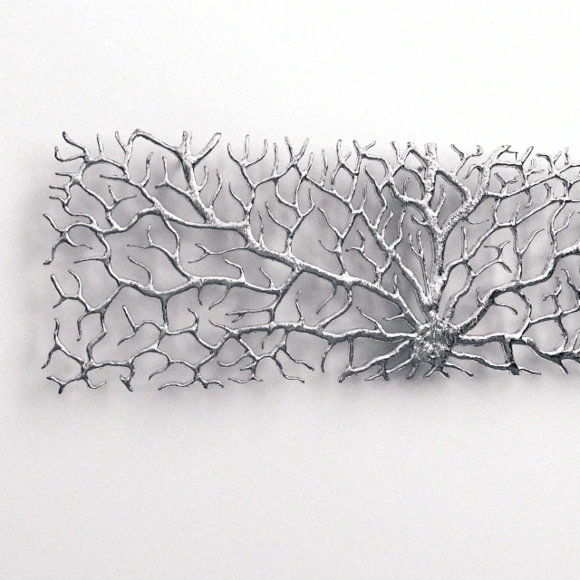 «Branching Out» — Descargar