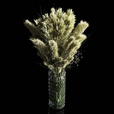 Dry Plants pampas Bouquet Indoor glass vase — Ver 3