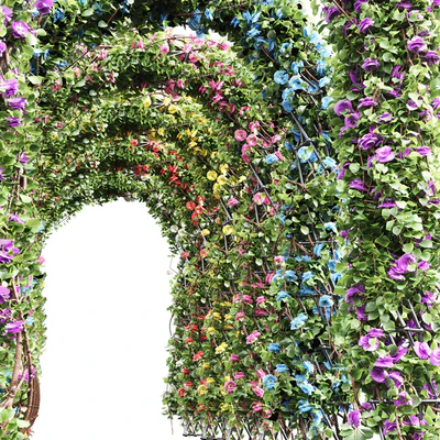 Plant High Detail Climbing Roses Garden Bow02 Grow — Вид 4