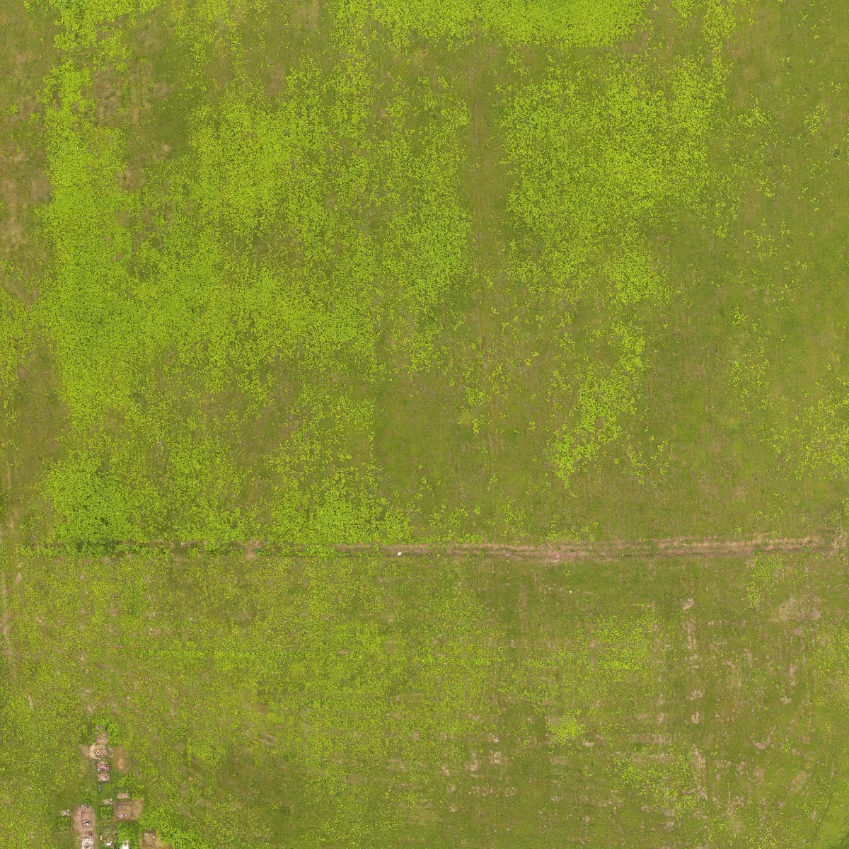 field summer 006 — Descargar