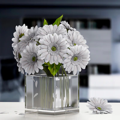 white Gerbera Flower — Скачать