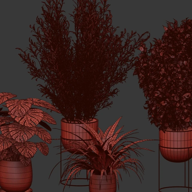 Коллекция комнатных растений (V-Ray) — Скачать