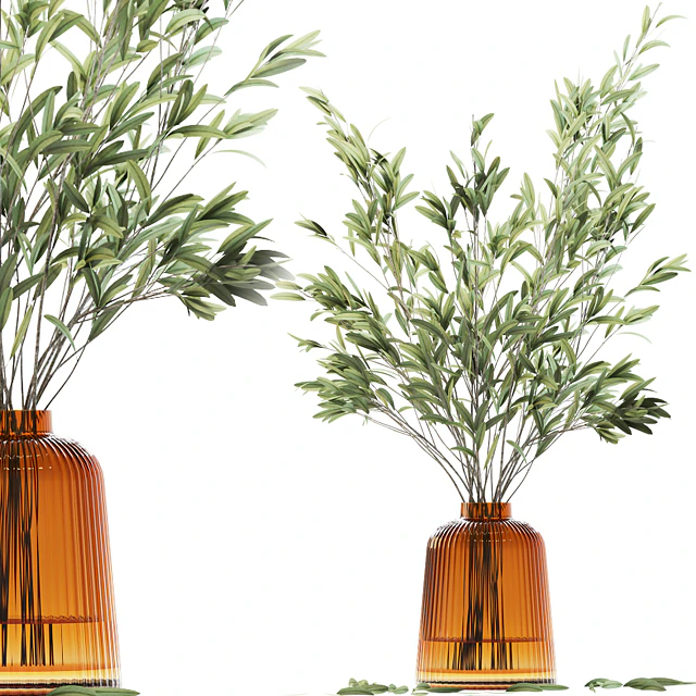 Olive stems in yellow glass vase with water — Скачать