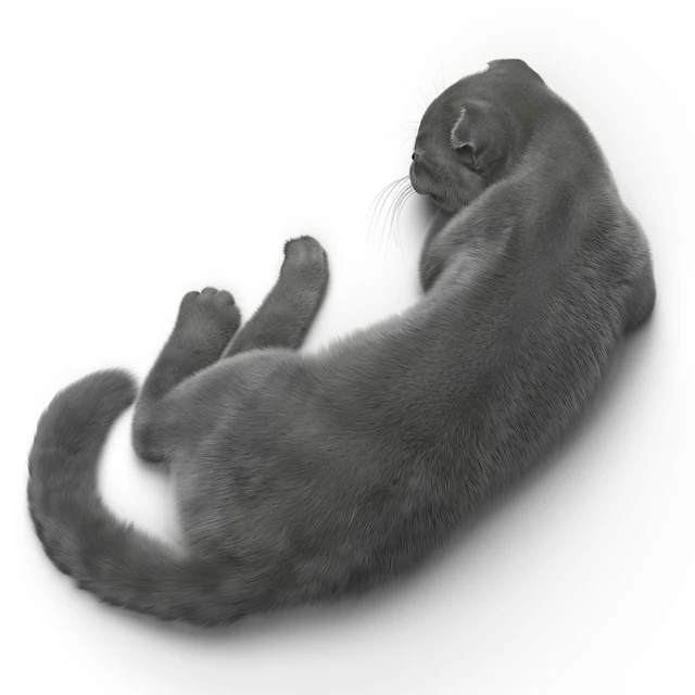 CAT 6 VRay — Descargar