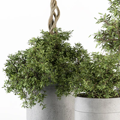 Outdoor Plant Set 241 - Plant in Pot Set — Ver 5