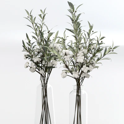 Bouquets of olives and cotton. — Ver 3