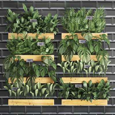 Vertical gardening. 40. Shelf with flowers, monstera, areca, palm tree, indoor plants, black tiles, phytowall, phytomodule, eco design, vertical garden — Ver 1