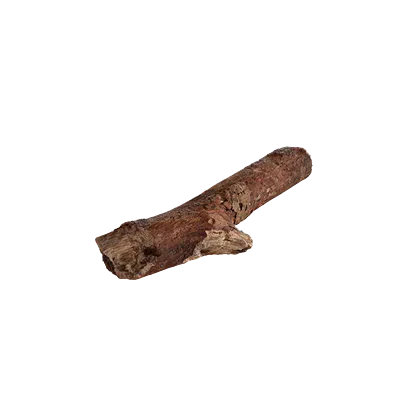 tree debris 025 — Descargar
