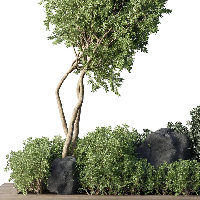 Collection Outdoor Indoor plant 67 green garden plant-tree-bush corona — Скачать