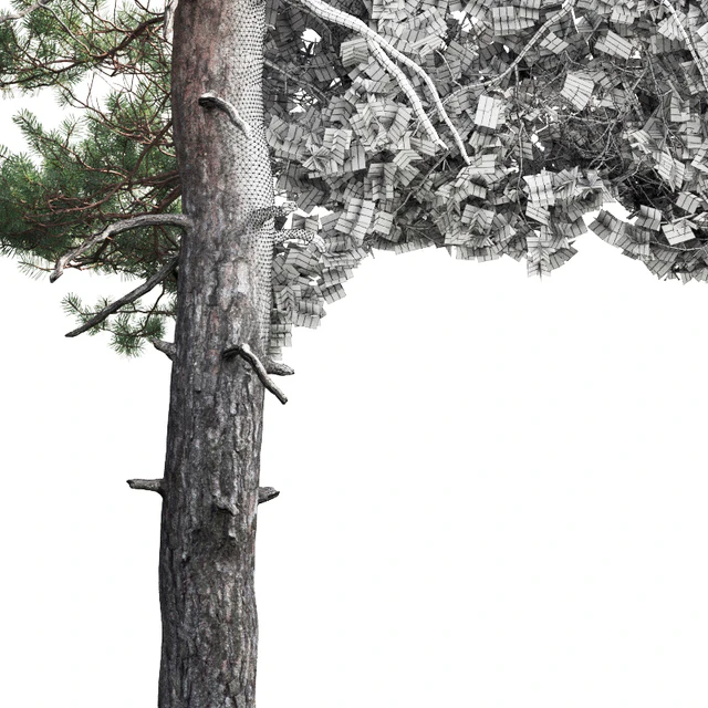 Pine — Descargar