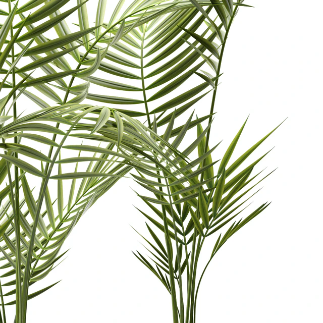 Plants 109 — Descargar