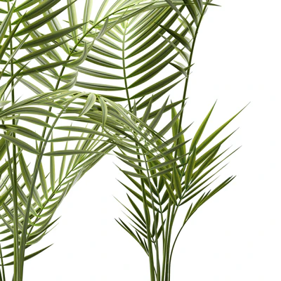 Plants 109 — Ver 2