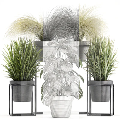 Plant collection 316. Grass, tussock, monstera, pot, flowerpot, indoor, small, flower stand, bush, outdoor, concrete — Ver 3