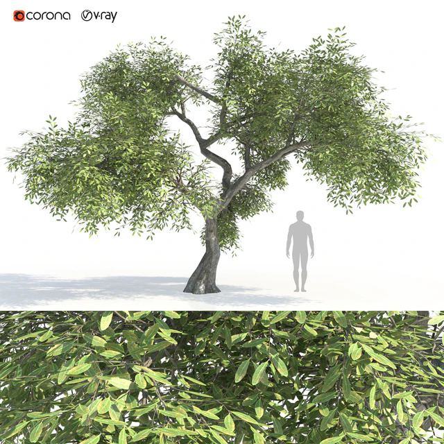 Green tree 2 — Descargar