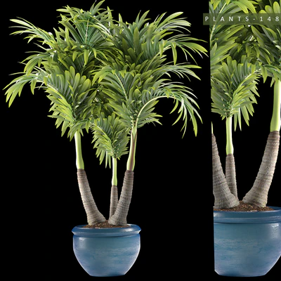 PLANTS 148 — Ver 2