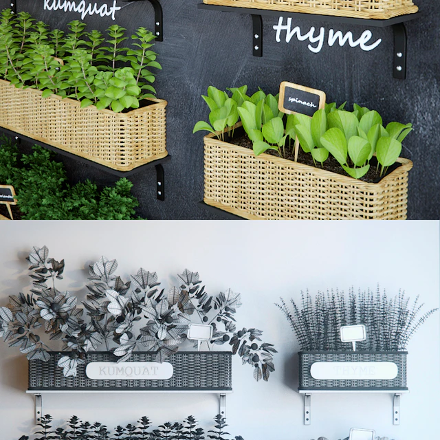 Kitchen garden 3 — Descargar