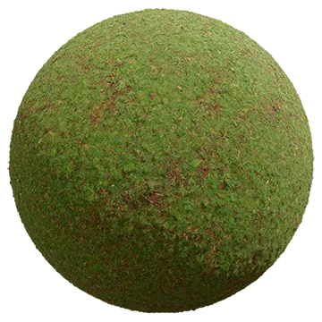 mossy ground 010 — Скачать