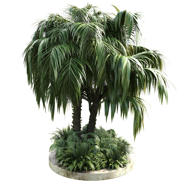 Collection Outdoor plant 39 in garden pot tree palm bush fern concrete dirt old vase — Descargar