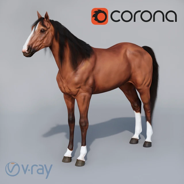 Standing horse — Descargar