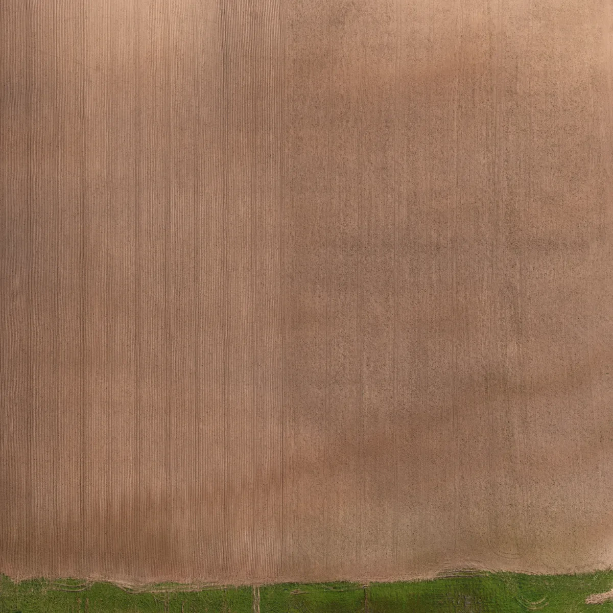 field summer 035 — Скачать