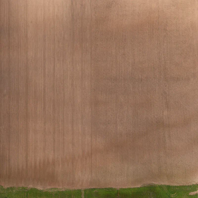 field summer 035 — Скачать