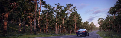 itrees vol 005 pine trees — Descargar