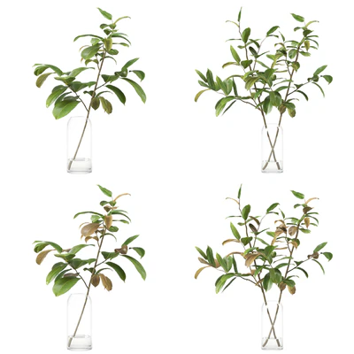 Magnolia Branch set 01 — Вид 7