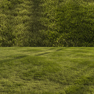 Forest grass — Ver 6