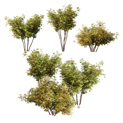HQ Plants Bush Small — Ver 1