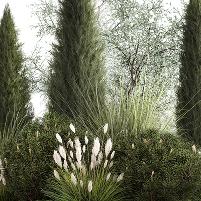Alpine hill olive, pine, reed, thuja and cypress, feather grass grass, silver goof. Plant collection 1188 — Ver 6