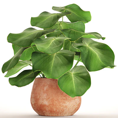 Tropical potted plant, flower, flowerpot, small plant, clinker, clay — Ver 1