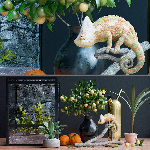Decorative set, chameleon — Descargar