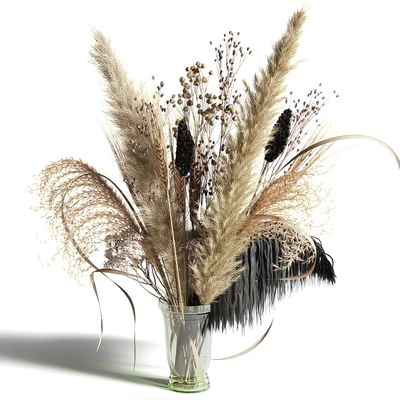 Bouquet of dried flowers with a black feather in a glass vase — Ver 2