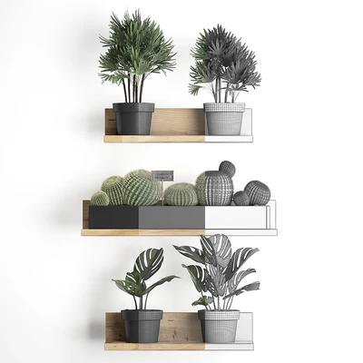 Vertical gardening. 51, Shelf with flowers, cactus, monstera, rapis, palm tree, Barrel cactus, round cactus, eco design, Raphis Palm — Ver 3