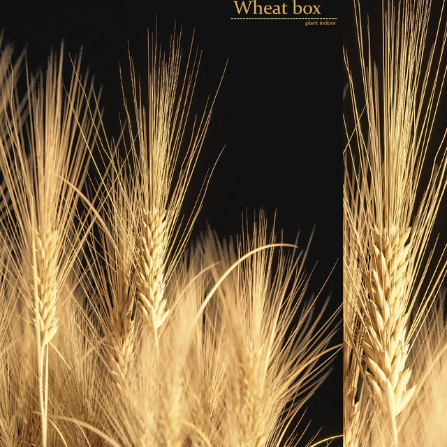 Wheat Box — Скачать