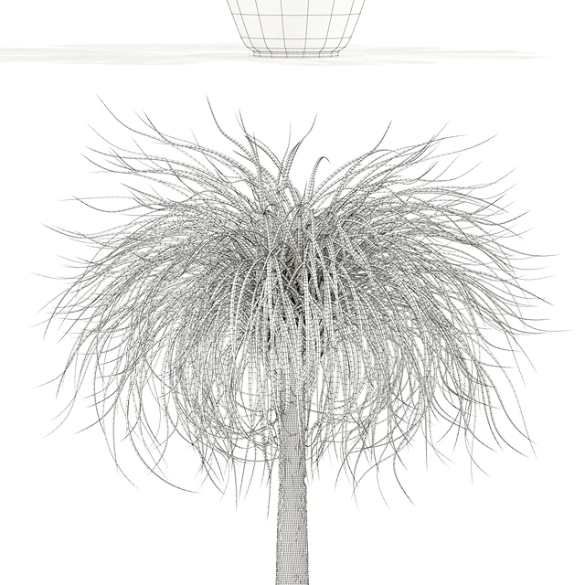 Plants collection 103 — Descargar